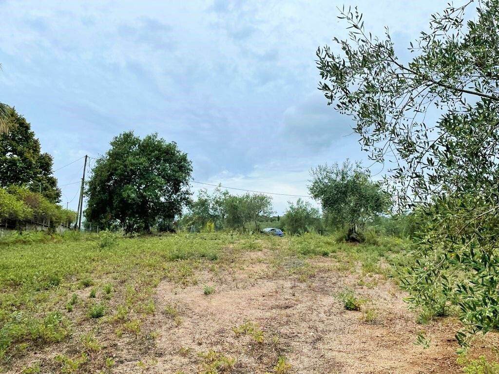 Земля на Корфу, Греция, 4 470 м² - фото 8