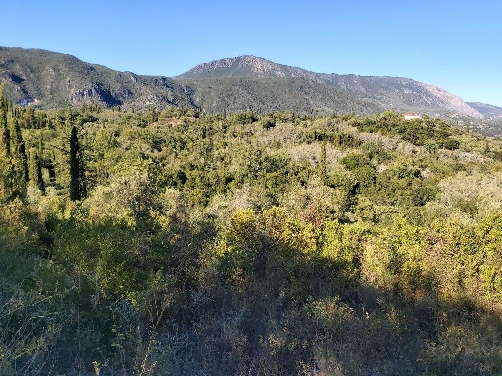 Земля на Корфу, Греция, 8 250 м² - фото 8