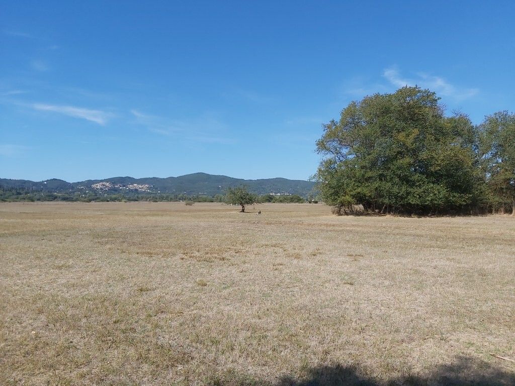 Земля на Корфу, Греция, 60 000 м² - фото 8