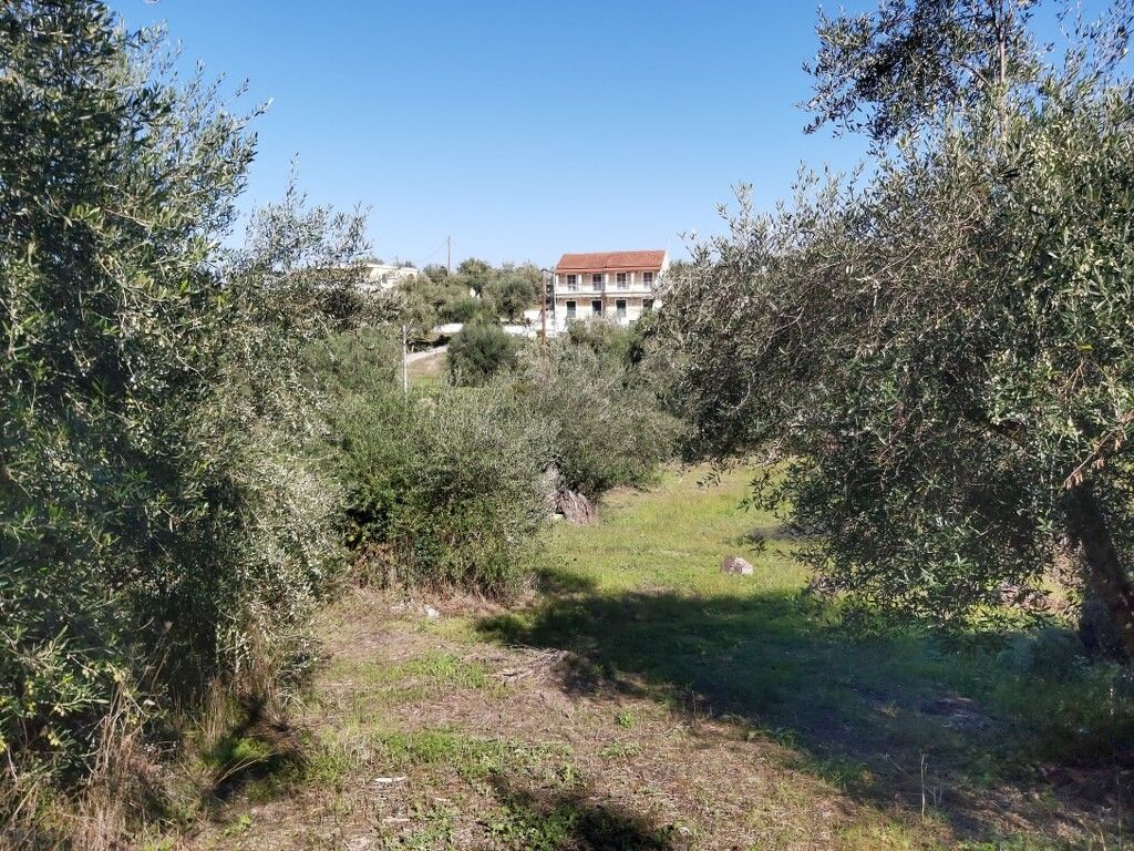 Земля на Корфу, Греция, 6 500 м² - фото 8