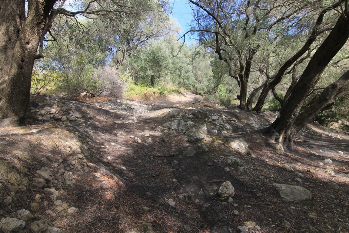 Земля на Корфу, Греция, 5 000 м² - фото 8