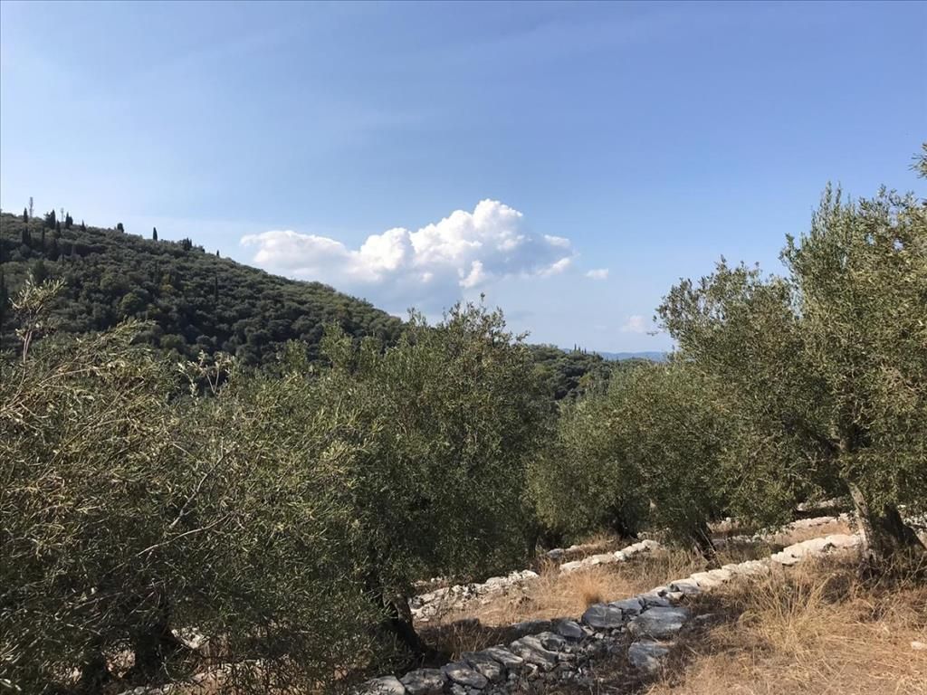 Земля на Корфу, Греция, 6 000 м² - фото 8