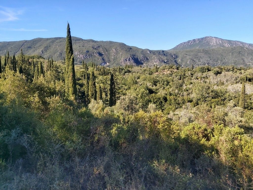 Земля на Корфу, Греция, 8 250 м² - фото 9