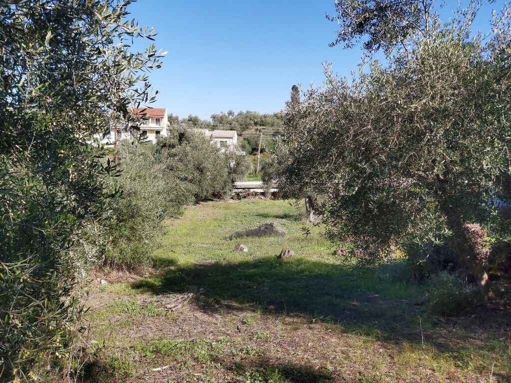 Земля на Корфу, Греция, 6 500 м² - фото 9