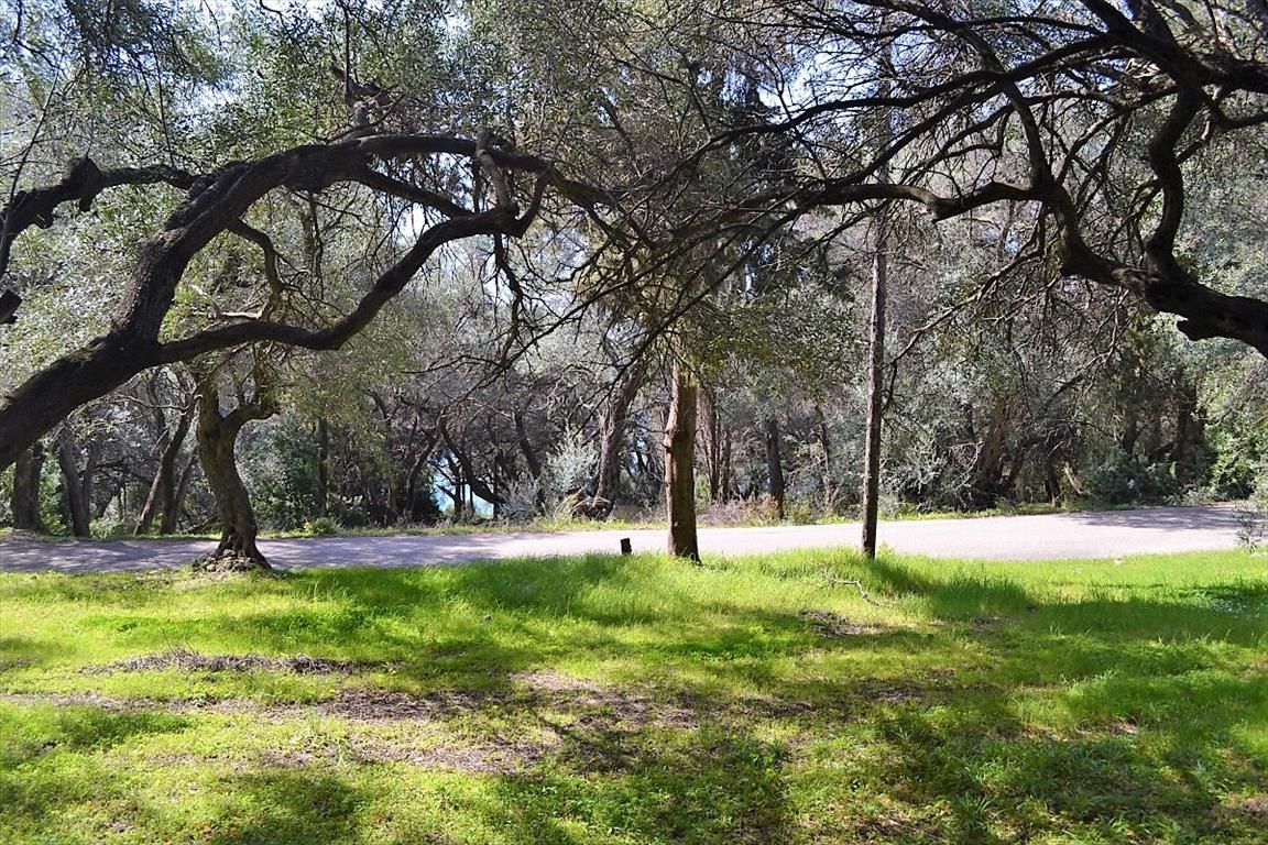 Земля на Корфу, Греция, 4 000 м² - фото 9