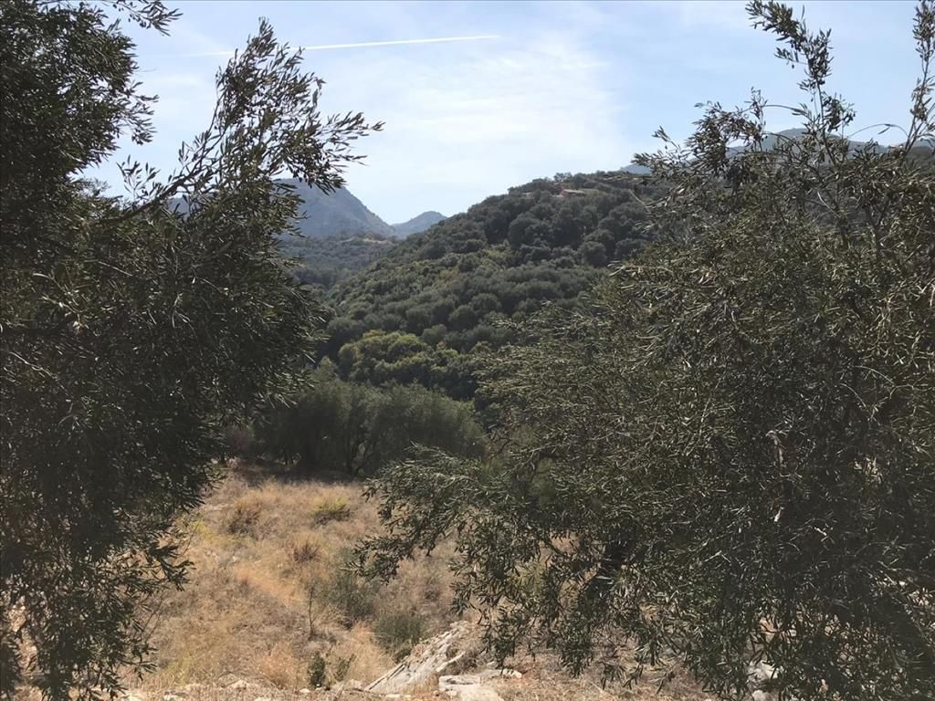 Земля на Корфу, Греция, 6 000 м² - фото 9