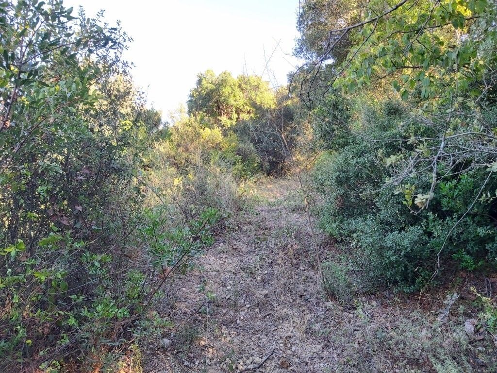 Земля на Корфу, Греция, 8 250 м² - фото 10