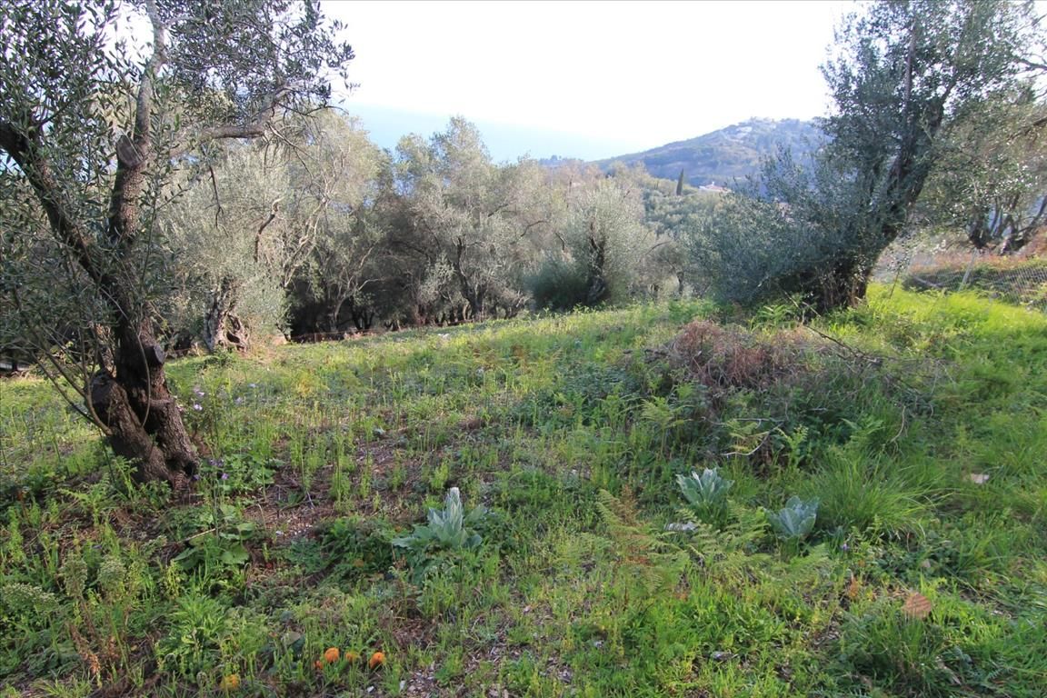 Земля на Корфу, Греция, 2 400 м² - фото 10