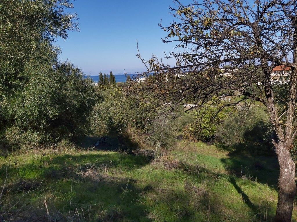 Земля на Корфу, Греция, 6 500 м² - фото 11