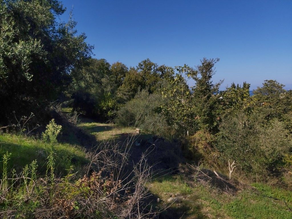 Земля на Корфу, Греция, 6 500 м² - фото 12