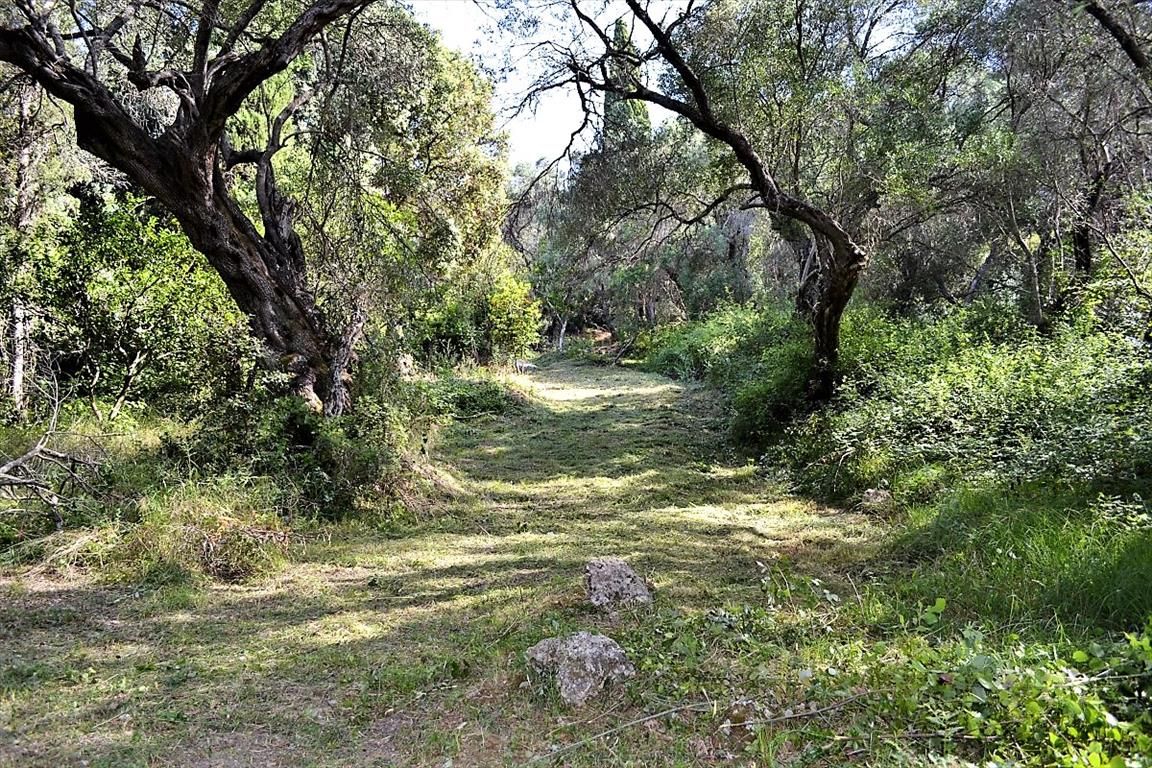 Земля на Корфу, Греция, 33 000 м² - фото 13