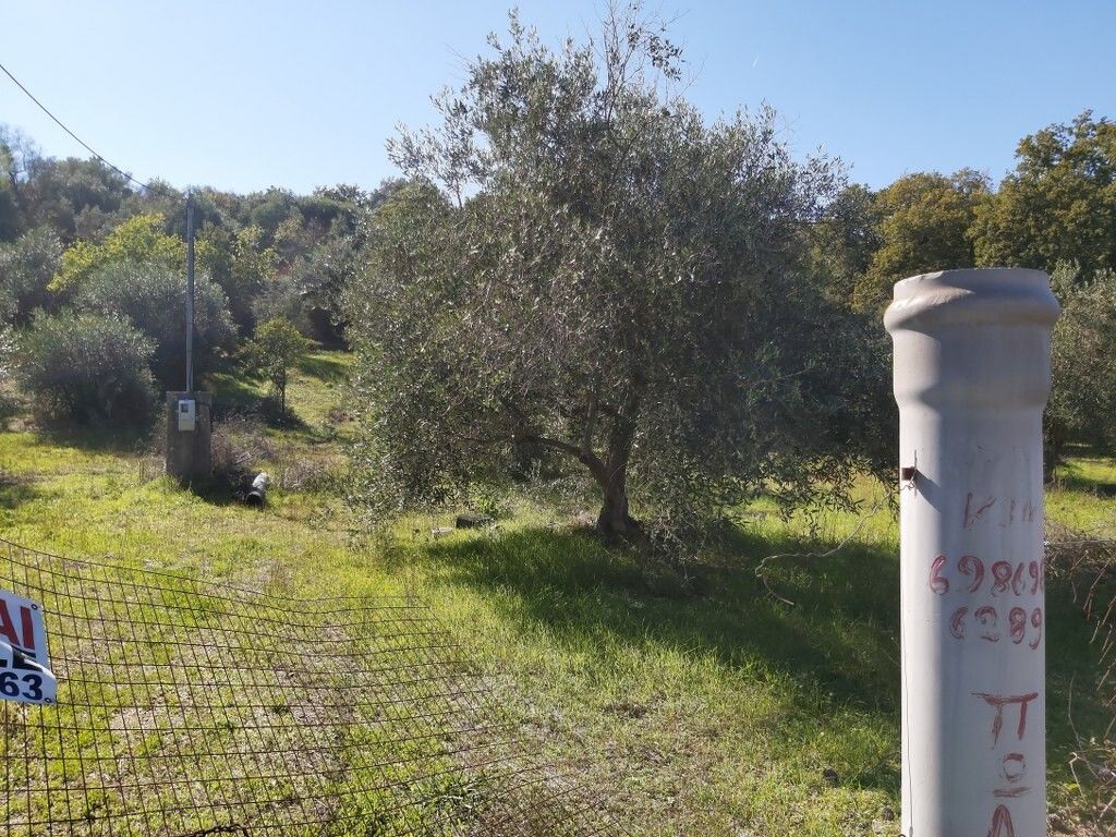 Земля на Корфу, Греция, 6 500 м² - фото 18