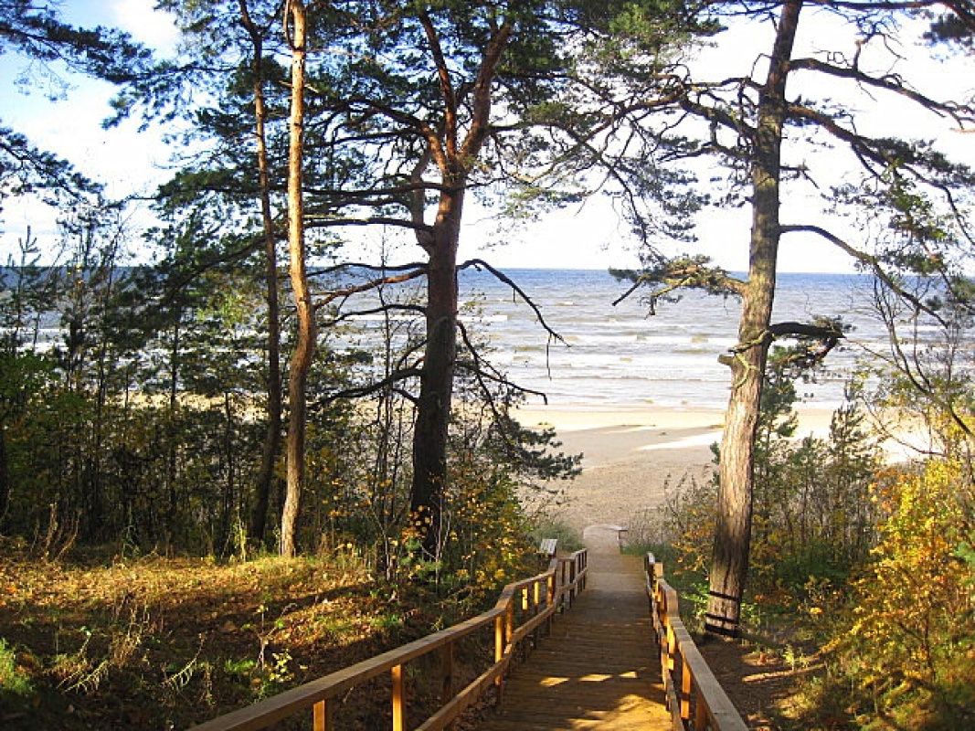 Инвестиционный проект в Дзинтари, Латвия, 2 815 м² - фото 4