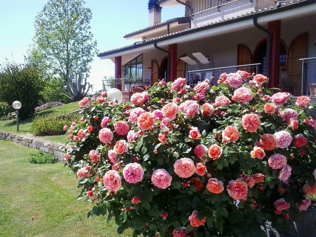 Вилла в Черветери, Италия, 420 м² - фото 18