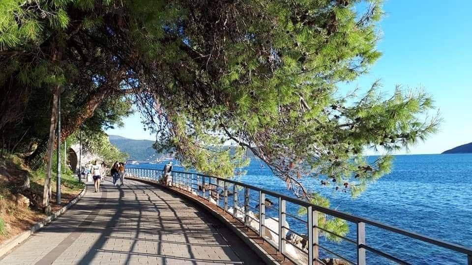 Кафе, ресторан в Херцег-Нови, Черногория, 26 м² - фото 4