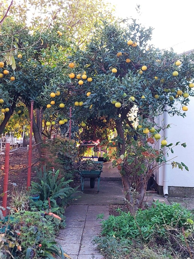 Дом в Баре, Черногория, 80 м² - фото 7