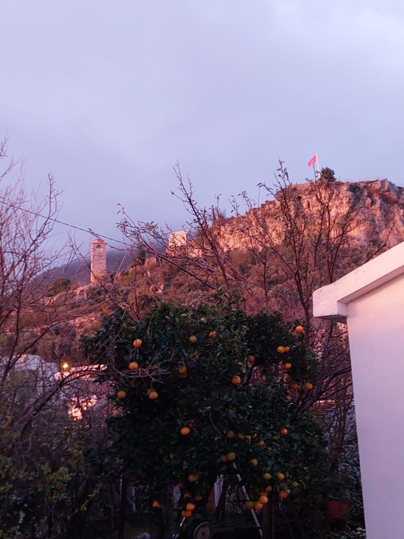 Дом в Баре, Черногория, 80 м² - фото 12