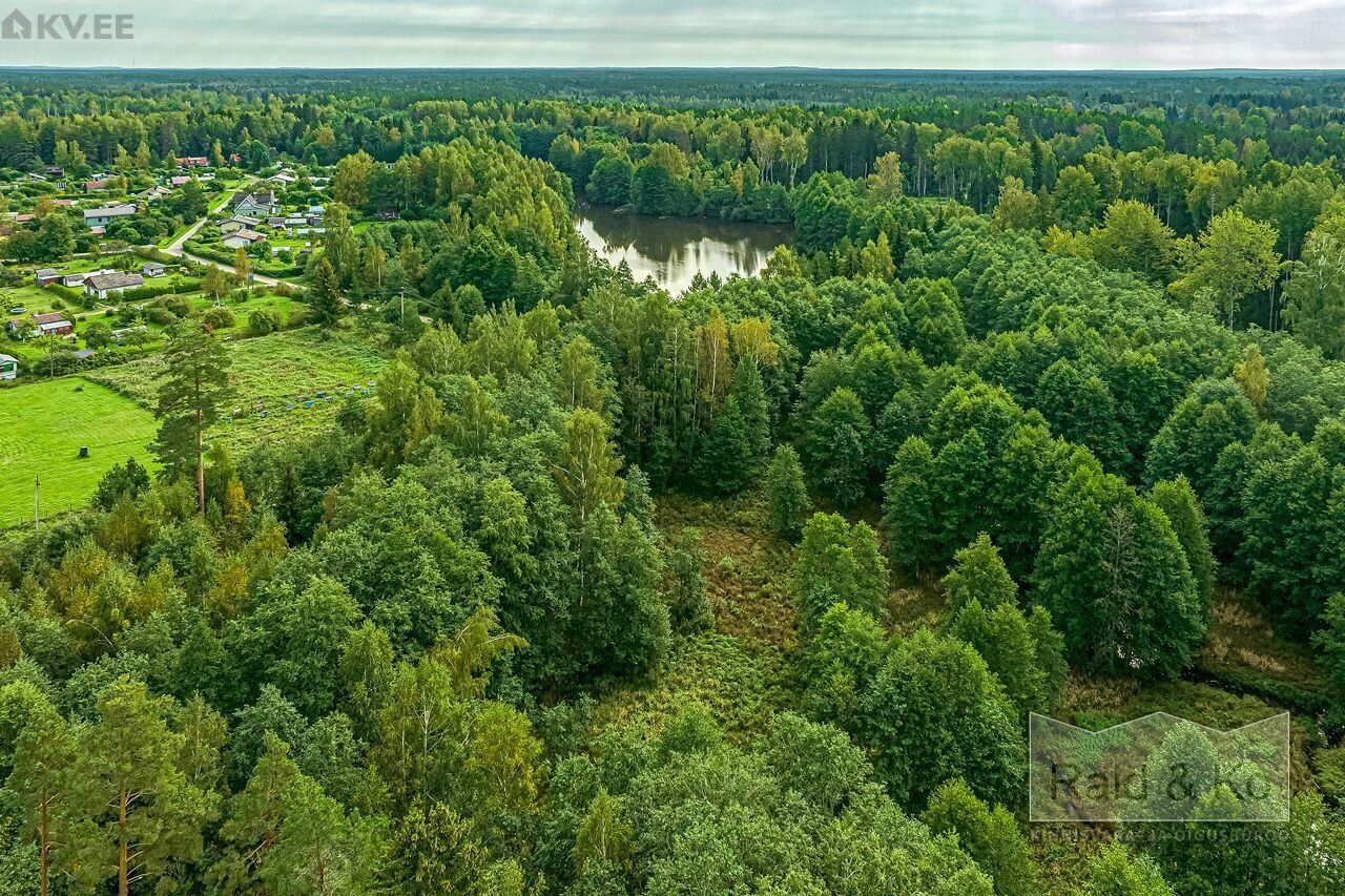Земля в Харьюмаа, Эстония, 10 988 м² - фото 15