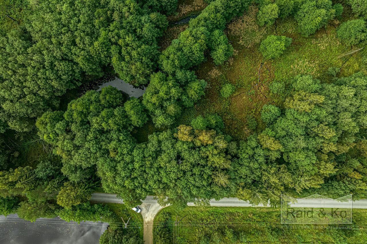 Земля в Харьюмаа, Эстония, 10 988 м² - фото 17