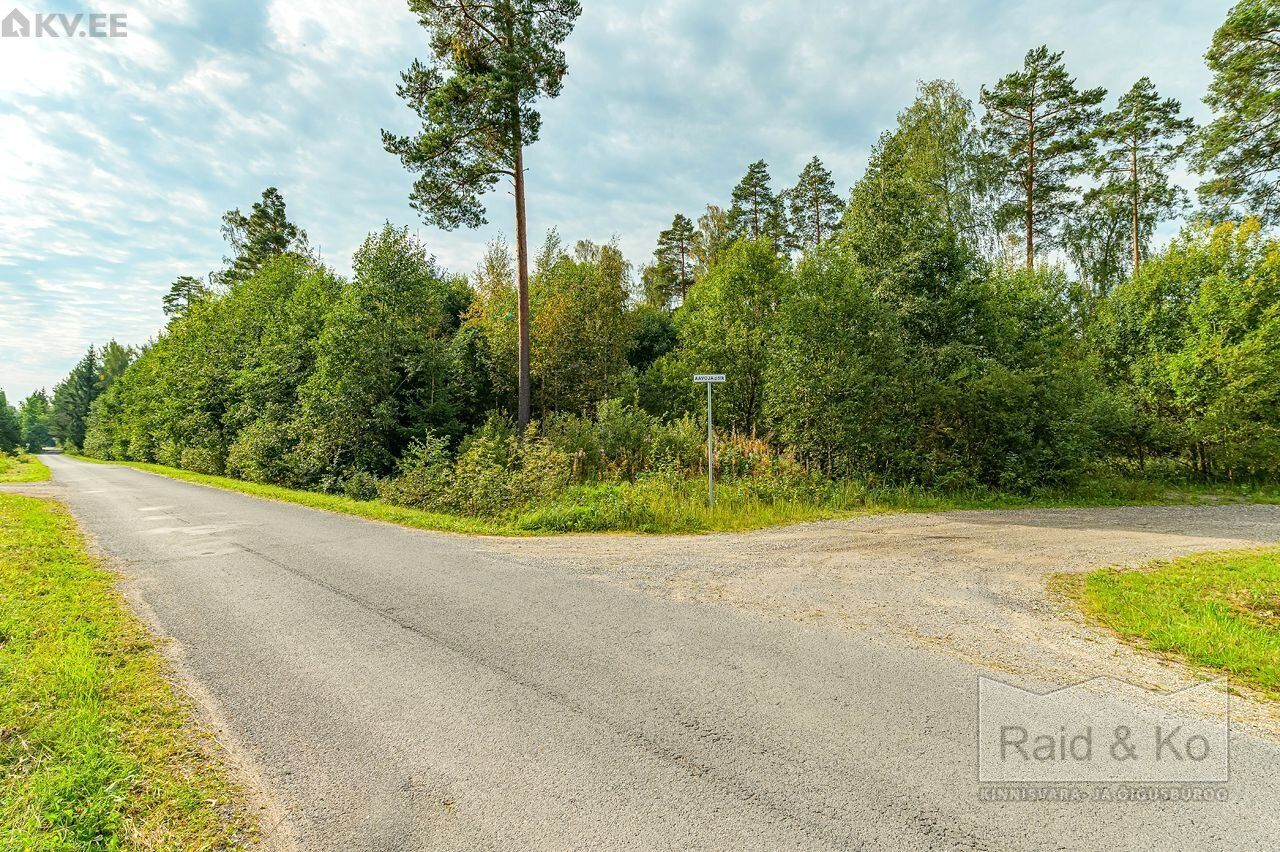 Земля в Харьюмаа, Эстония, 10 988 м² - фото 10