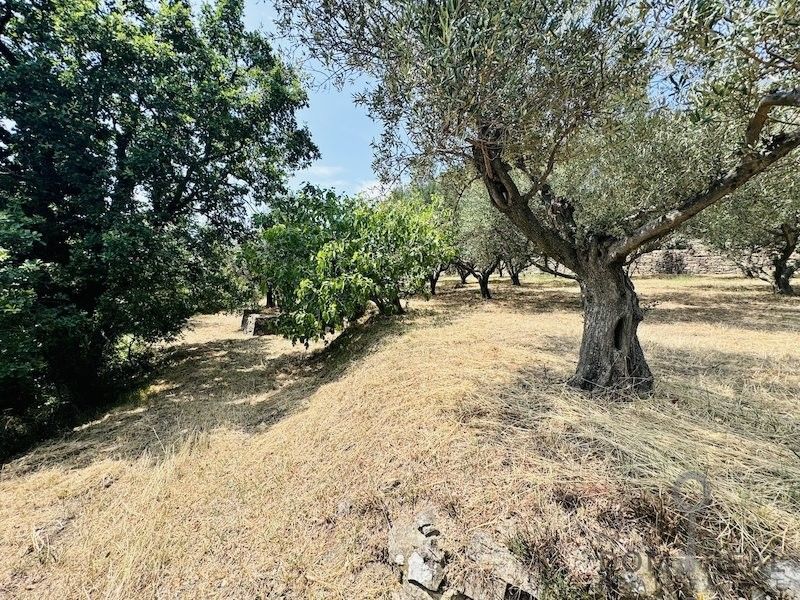 Дом в Пиране, Словения, 86 м² - фото 6