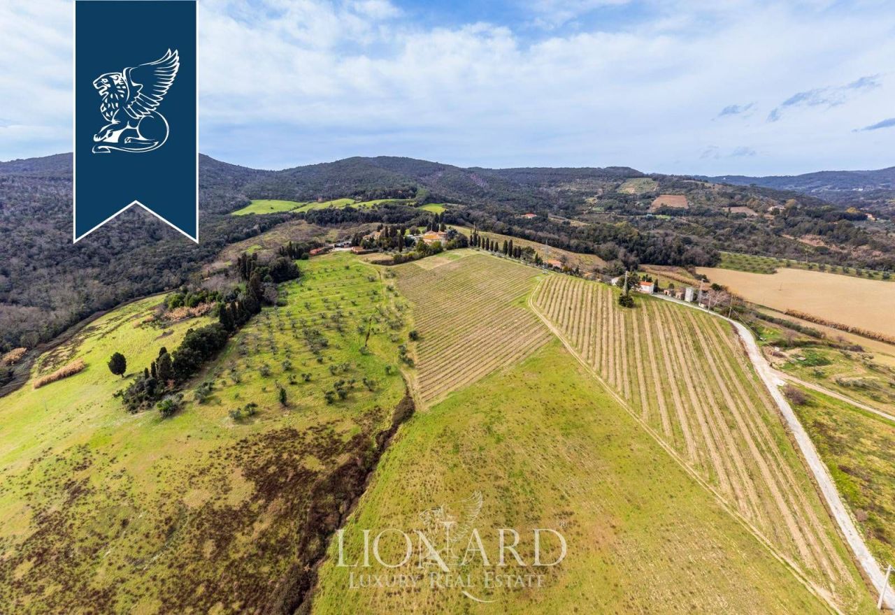 Ферма в Розиньяно Мариттимо, Италия, 8 000 м² - фото 2