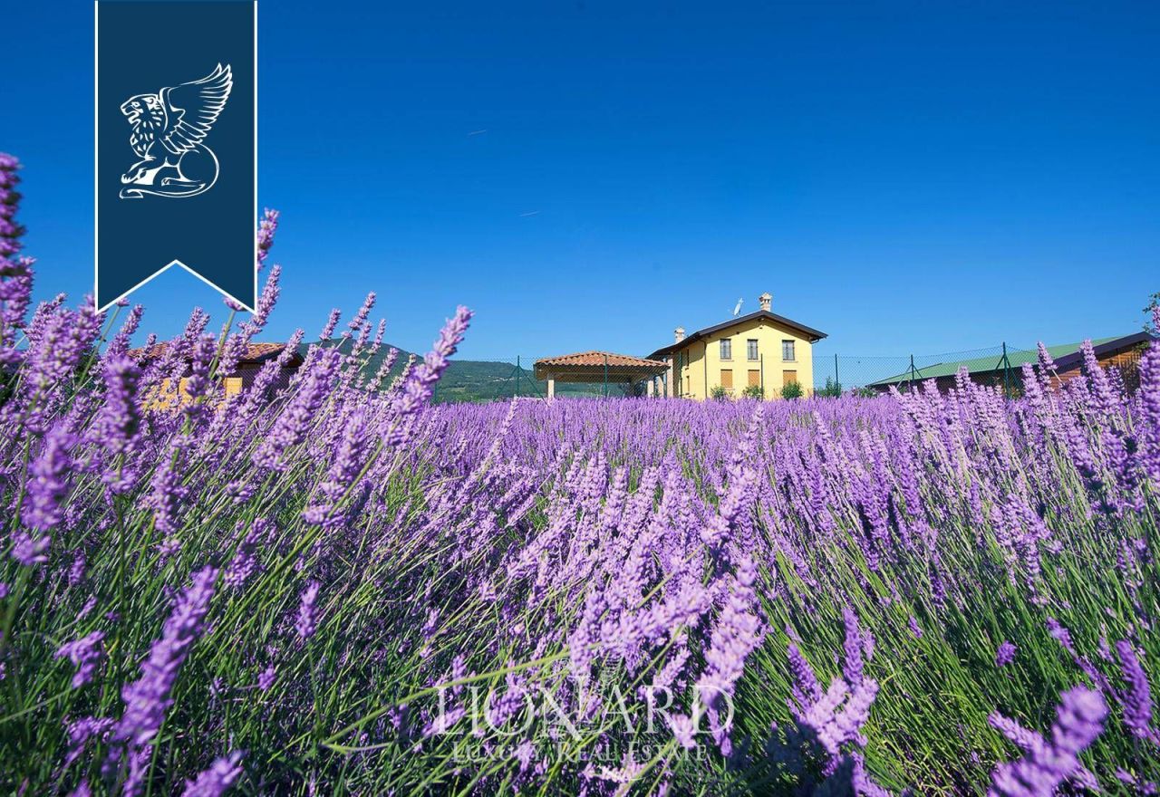 Ферма в Пьяченце, Италия, 300 м² - фото 2