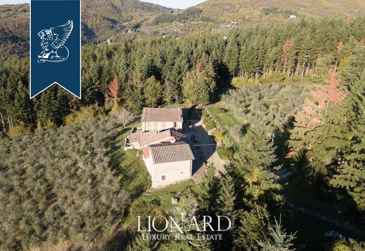 Ферма во Флоренции, Италия, 500 м² - фото 3