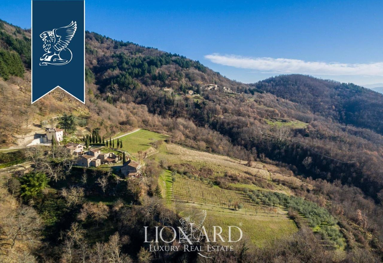 Ферма во Флоренции, Италия, 600 м² - фото 3