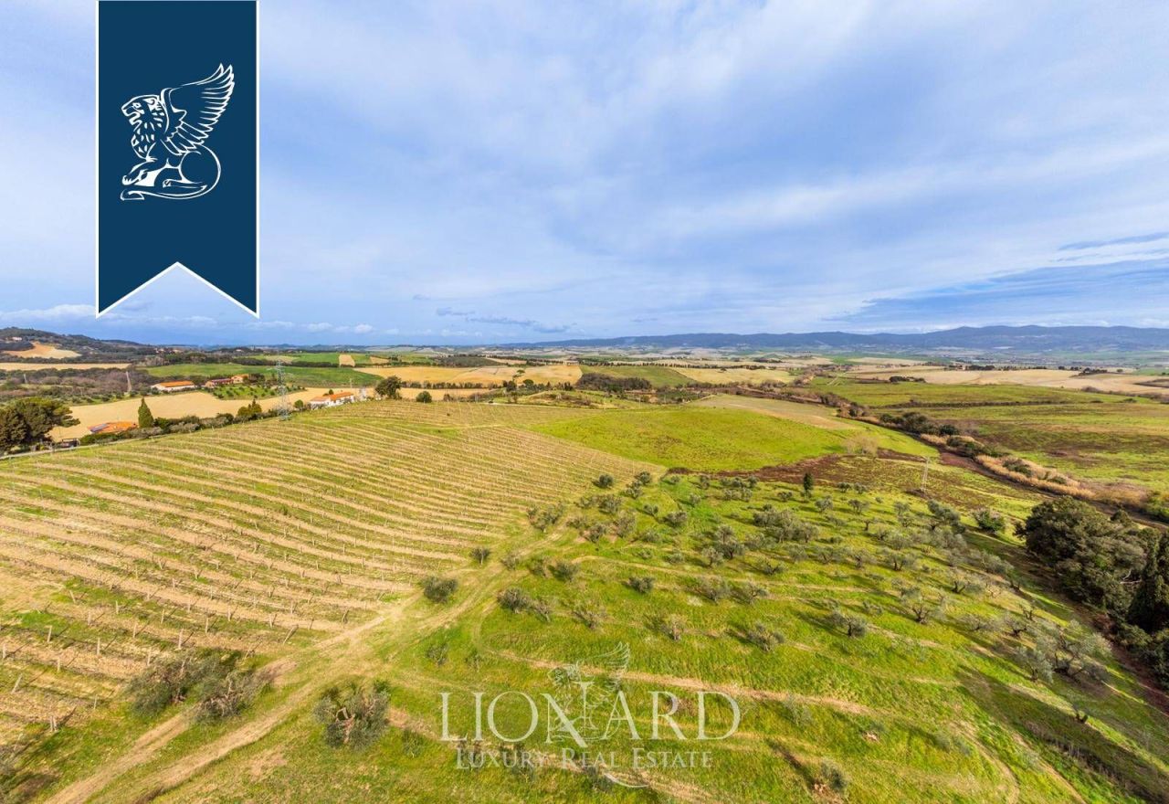 Ферма в Розиньяно Мариттимо, Италия, 8 000 м² - фото 5