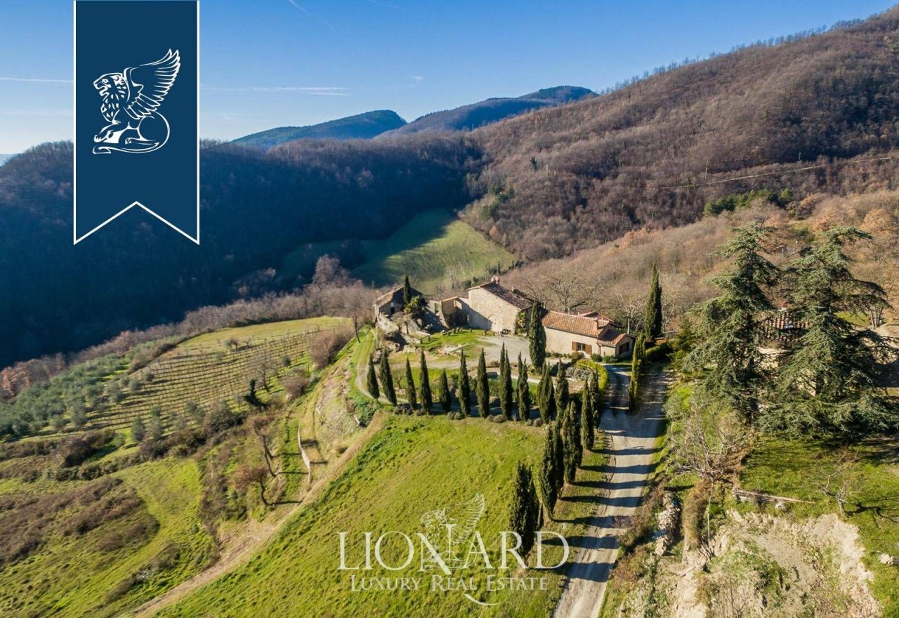 Ферма во Флоренции, Италия, 600 м² - фото 4