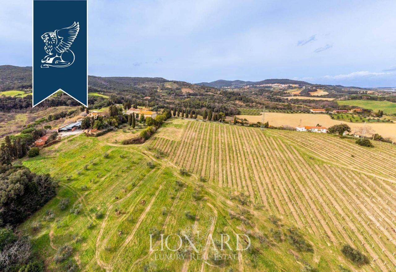 Ферма в Розиньяно Мариттимо, Италия, 8 000 м² - фото 6