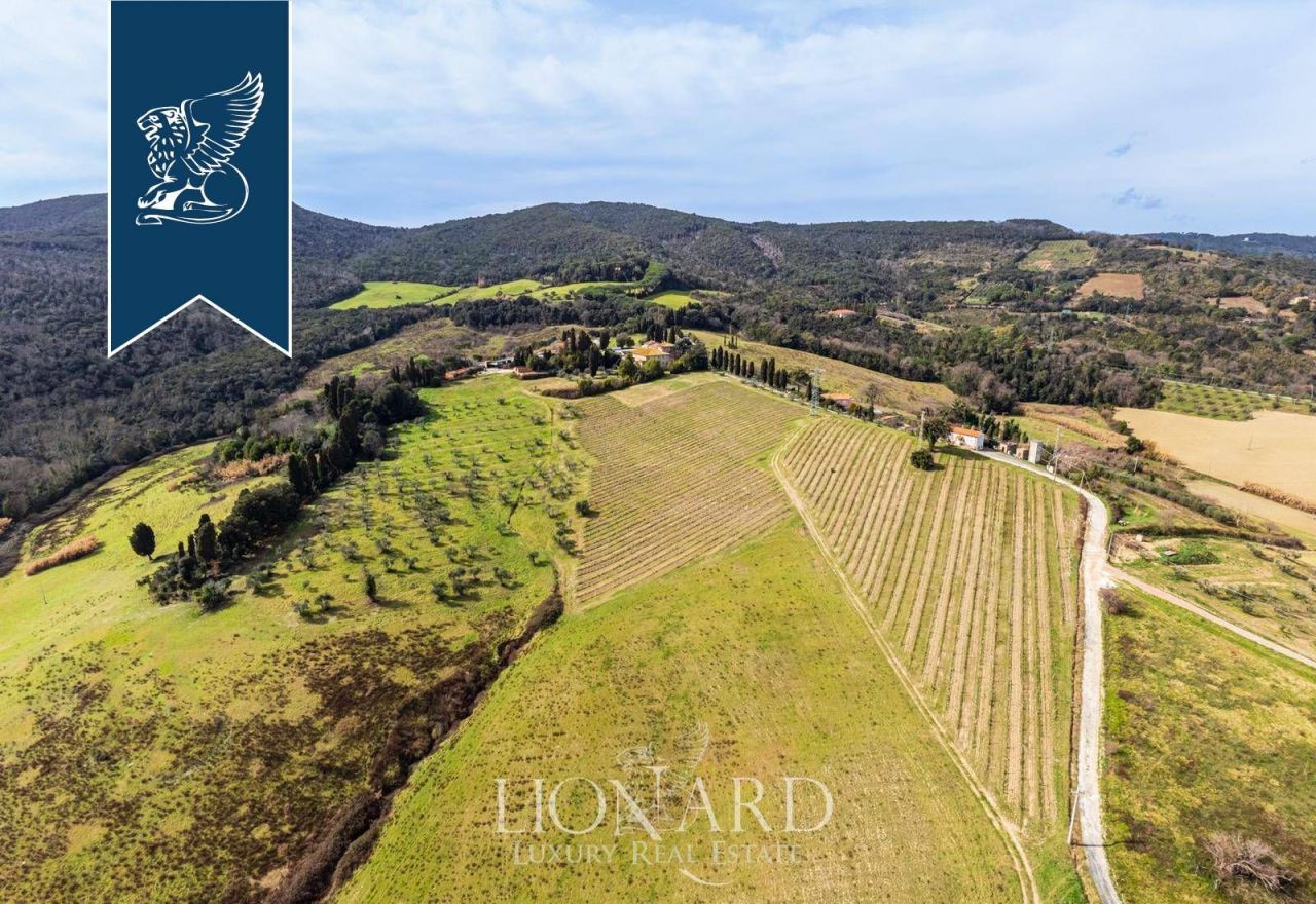 Ферма в Розиньяно Мариттимо, Италия, 8 000 м² - фото 8