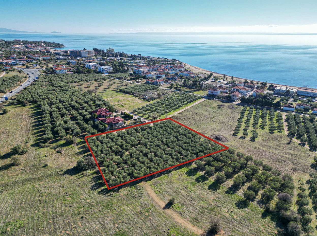 Вилла на Халкидиках, Греция, 174 м² - фото 14