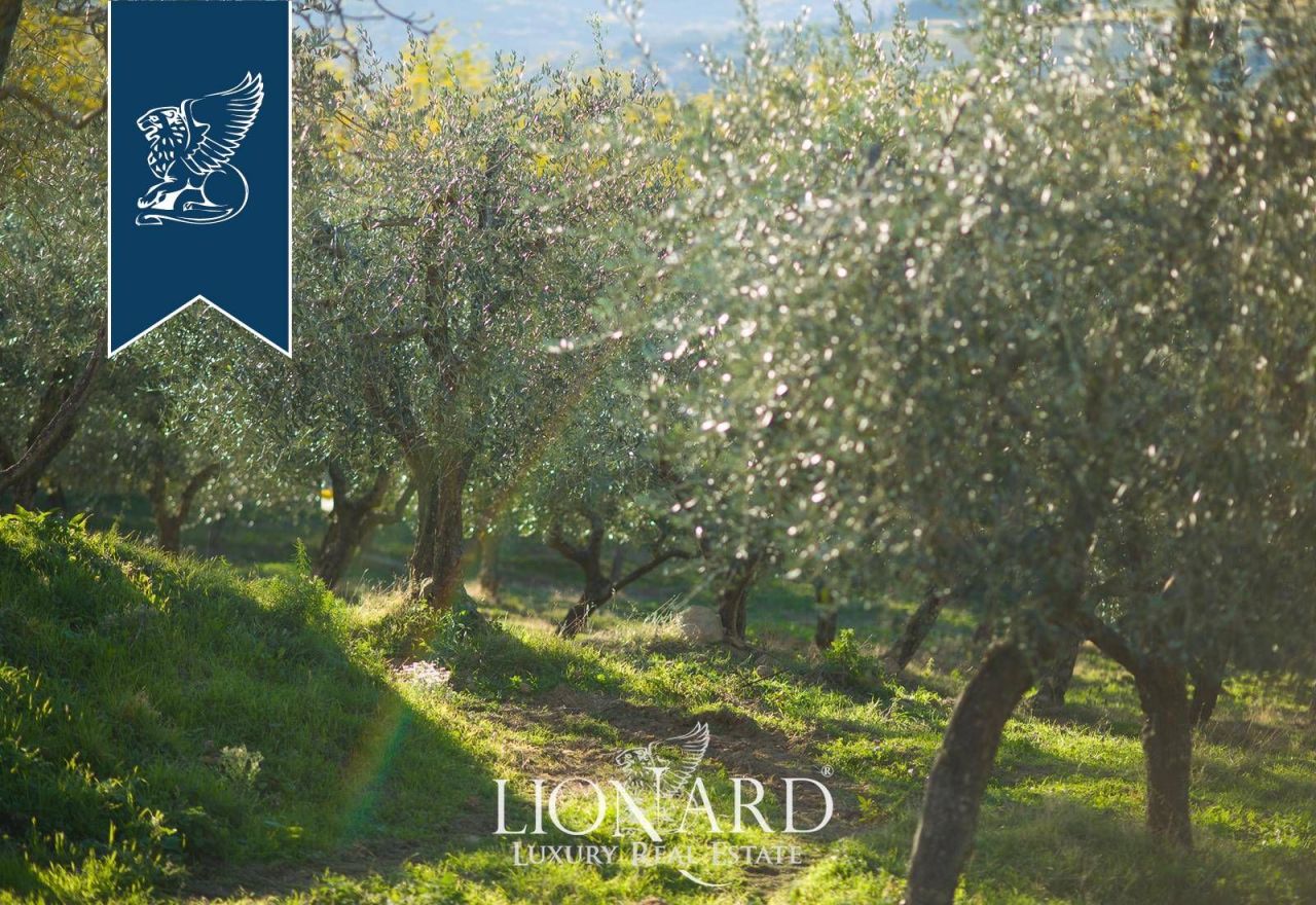 Ферма во Флоренции, Италия, 500 м² - фото 14