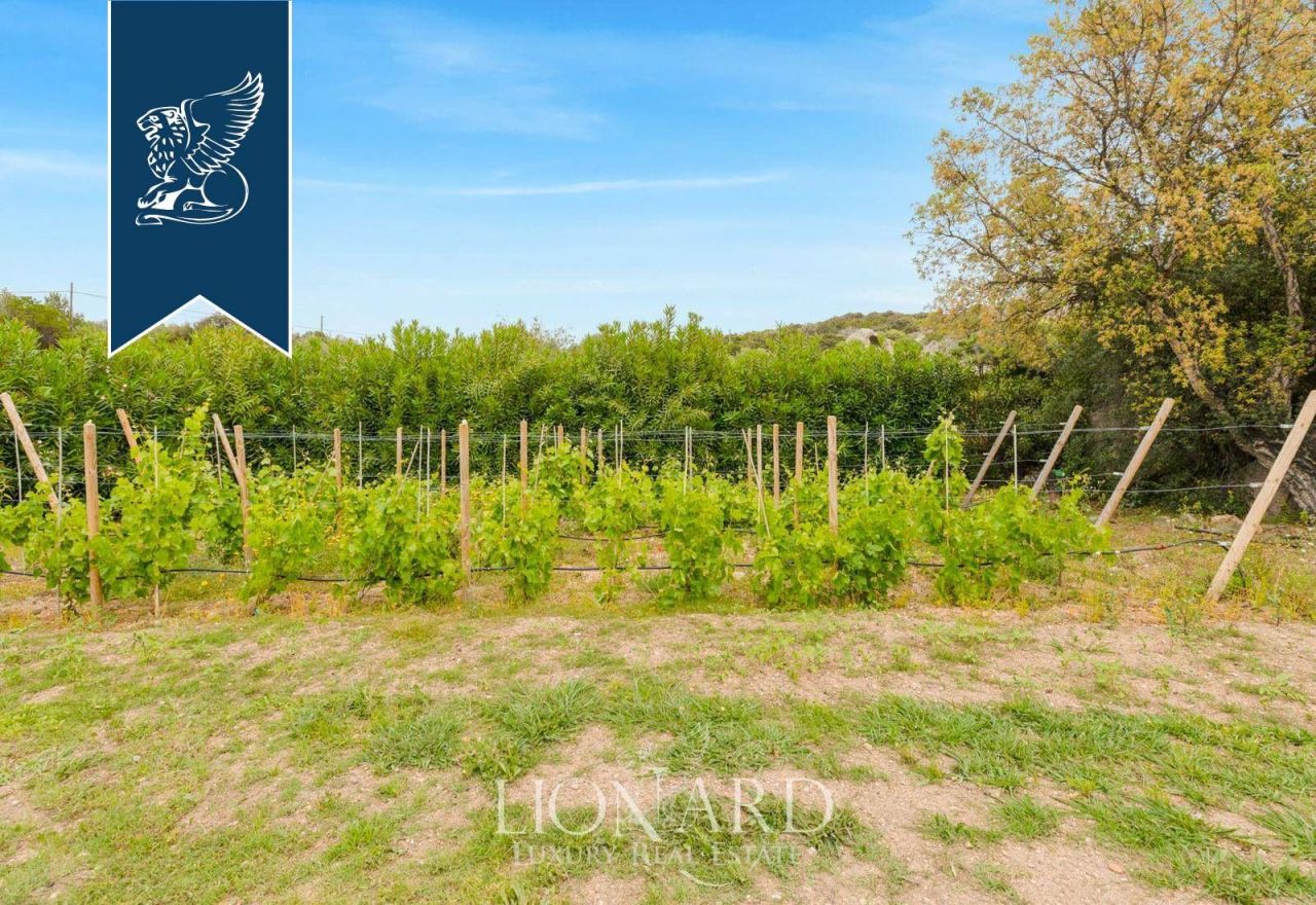 Вилла в Порто Черво, Италия, 230 м² - фото 16