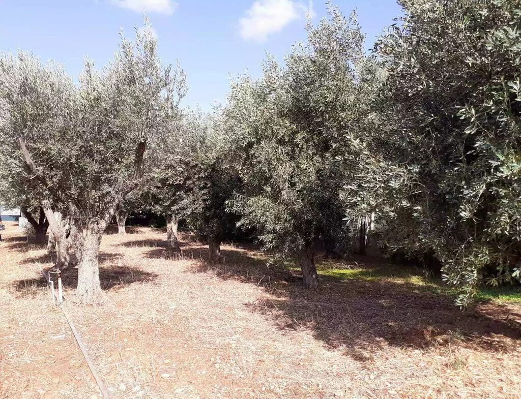 Земля в Афинах, Греция, 547 м² - фото 5