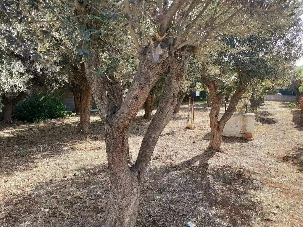 Земля в Афинах, Греция, 547 м² - фото 7