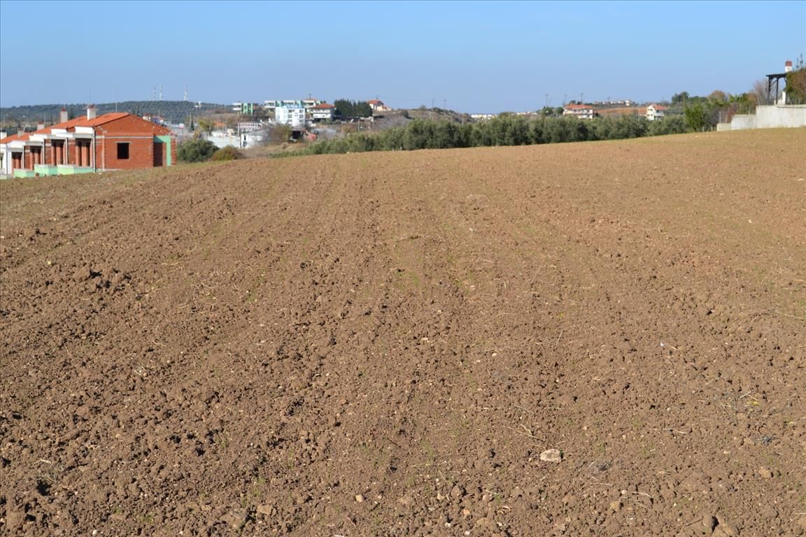 Земля на Халкидиках, Греция, 5 000 м² - фото 4