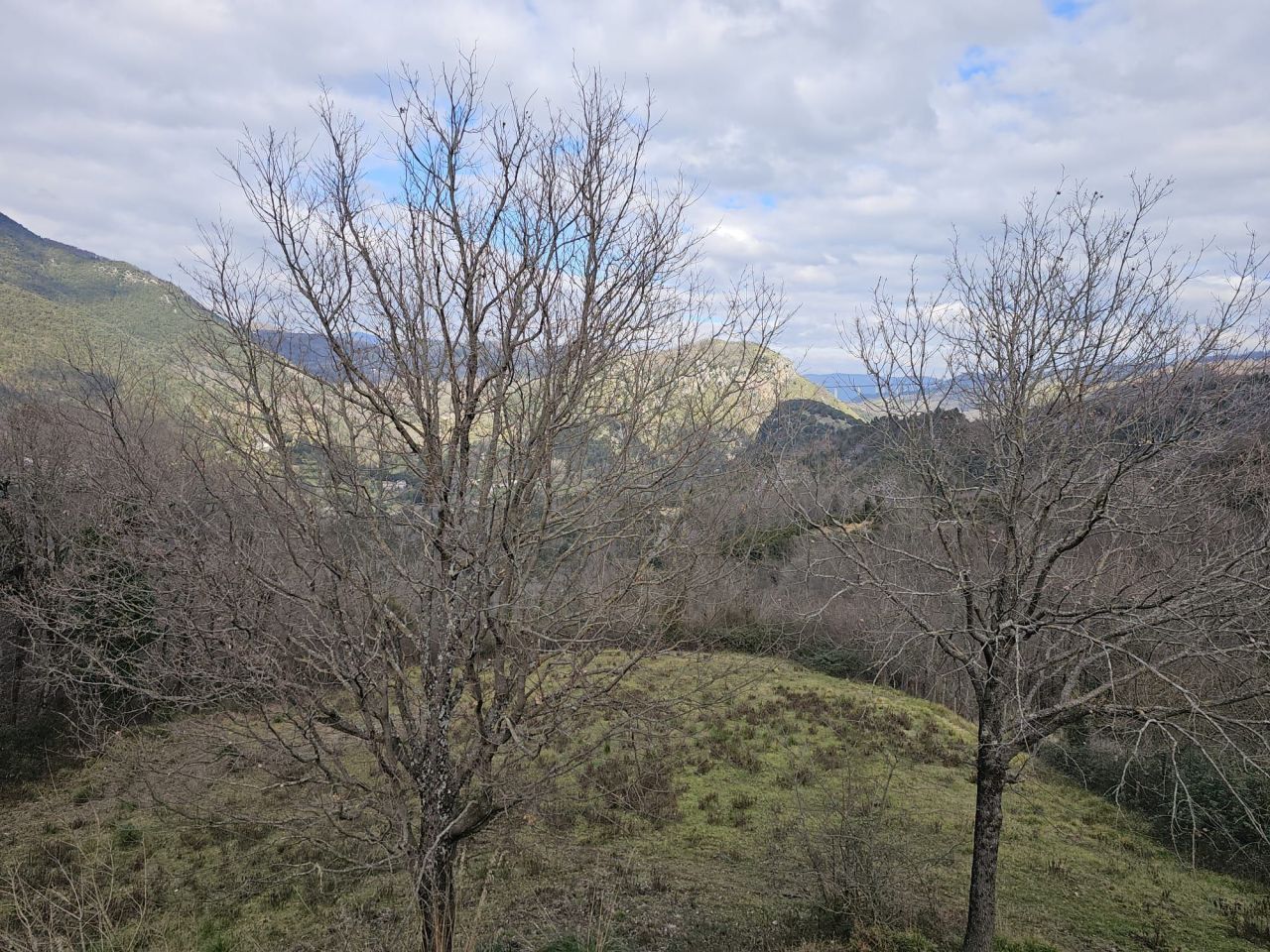 Дом в Скалее, Италия, 185 м² - фото 15