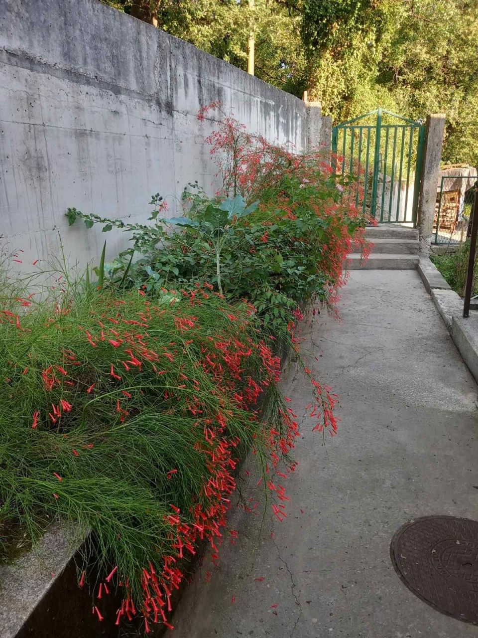 Дом в Херцег-Нови, Черногория, 128 м² - фото 8