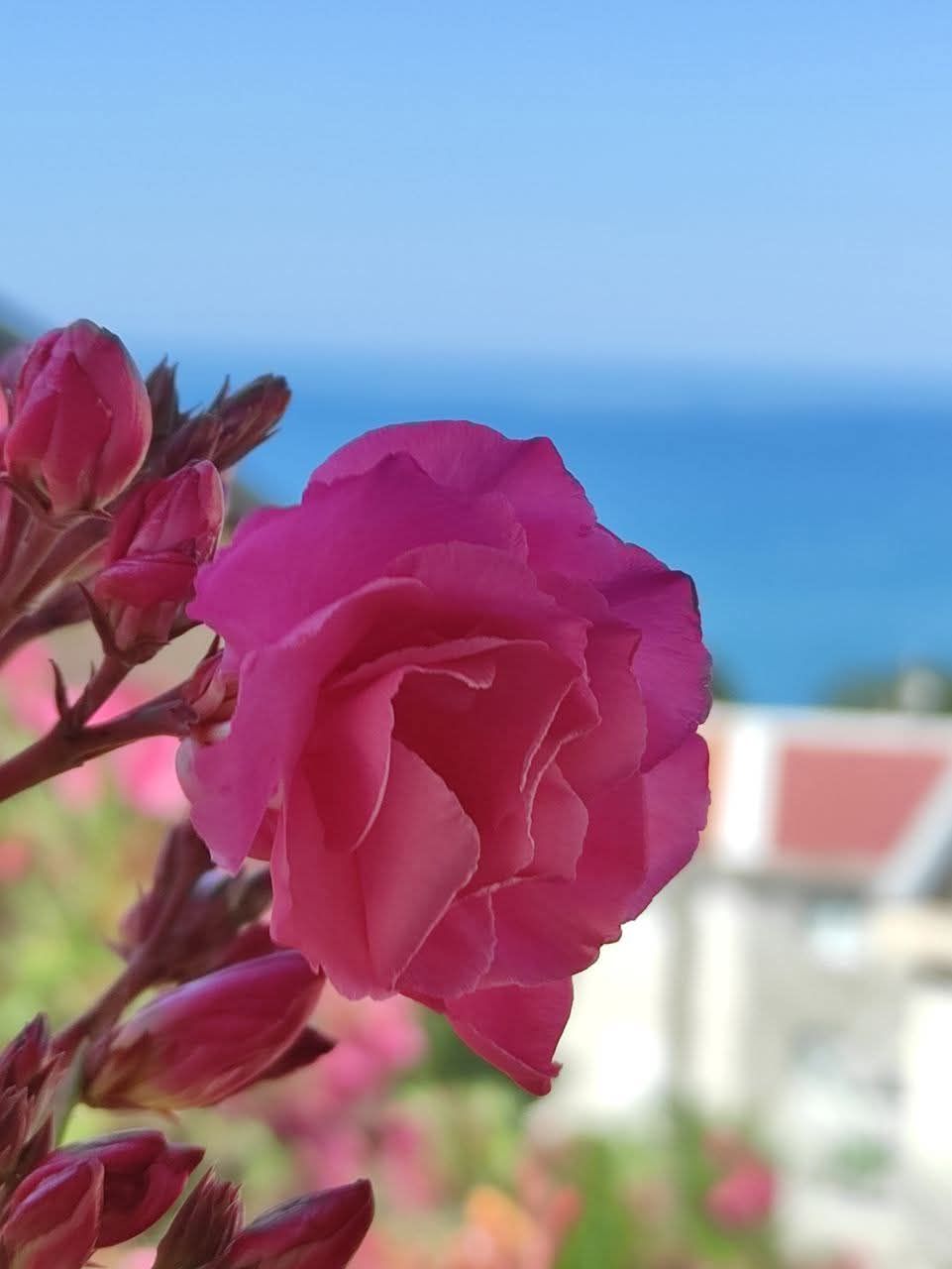 Дом в Сутоморе, Черногория, 144 м² - фото 13