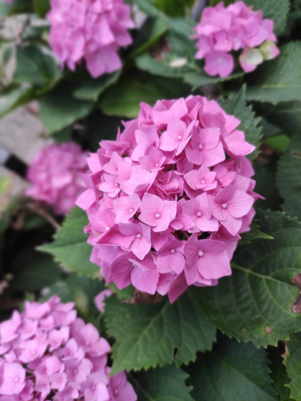 Дом в Сутоморе, Черногория, 144 м² - фото 9