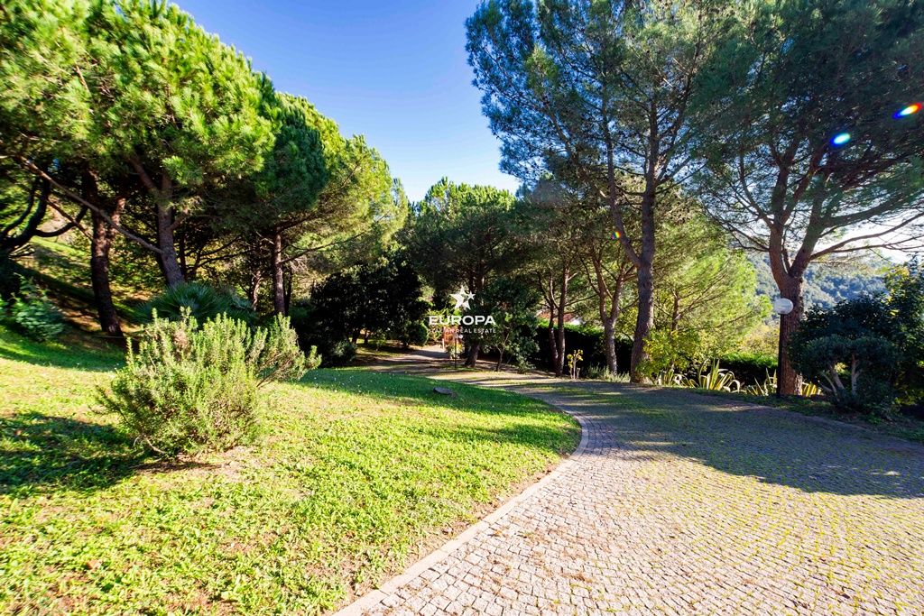 Вилла в Дольчеаккуа, Италия, 351 м² - фото 17