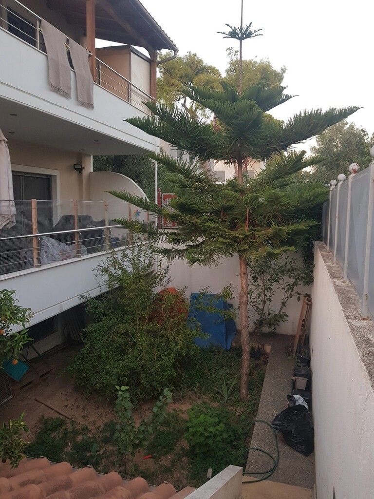 Дом в Афинах, Греция, 497 м² - фото 3