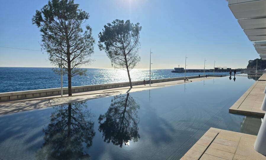 Апартаменты в Монако, Монако, 528 м² - фото 8