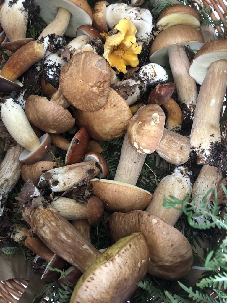 Дом в Галисии, Испания, 460 м² - фото 17