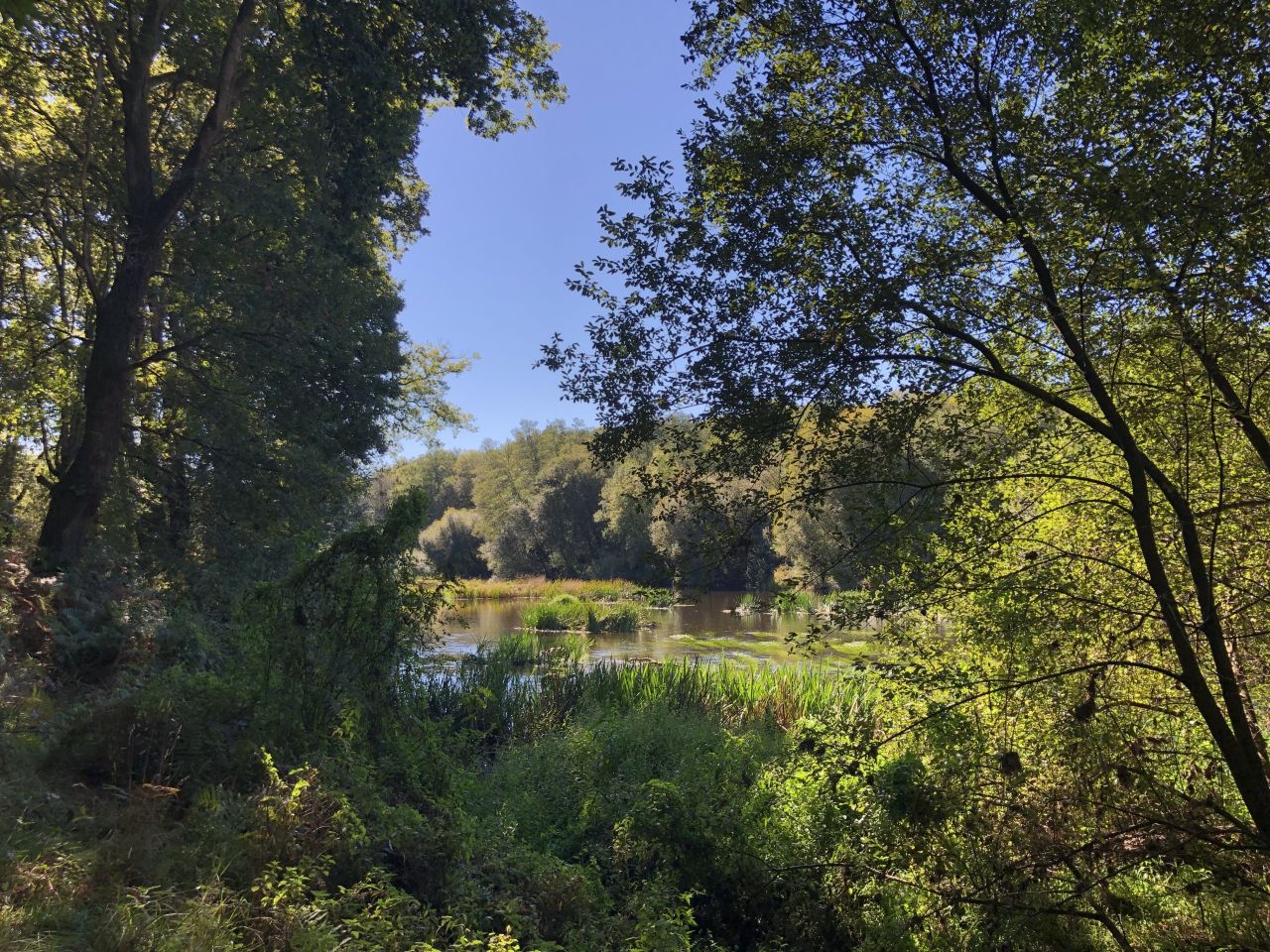 Дом в Галисии, Испания, 460 м² - фото 13