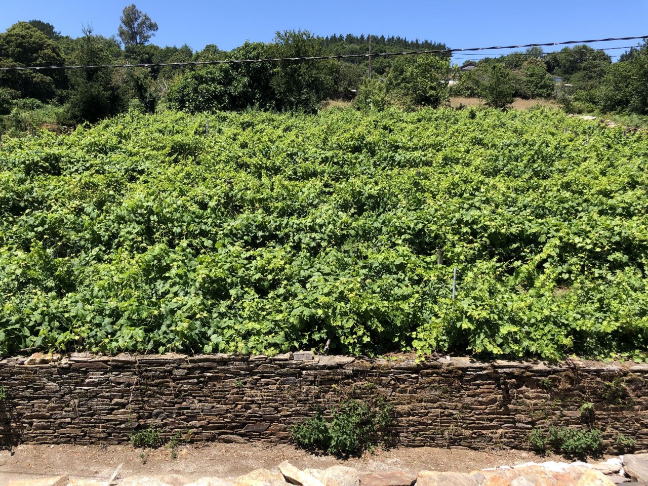 Дом в Галисии, Испания, 460 м² - фото 8