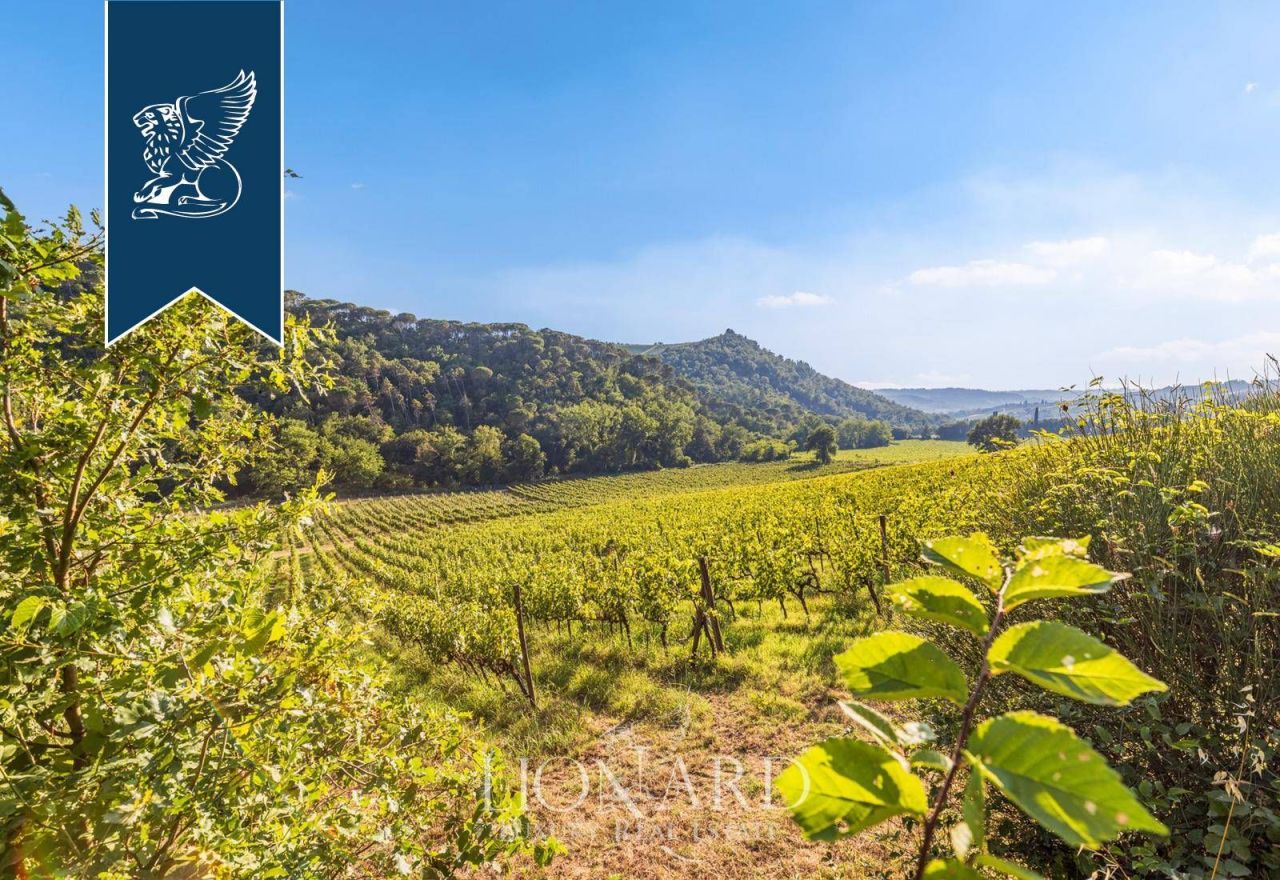 Ферма во Флоренции, Италия, 750 м² - фото 12